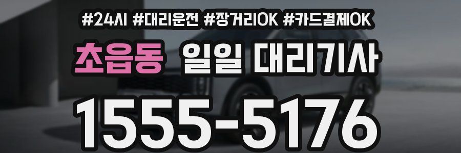 초읍동 일일 대리기사