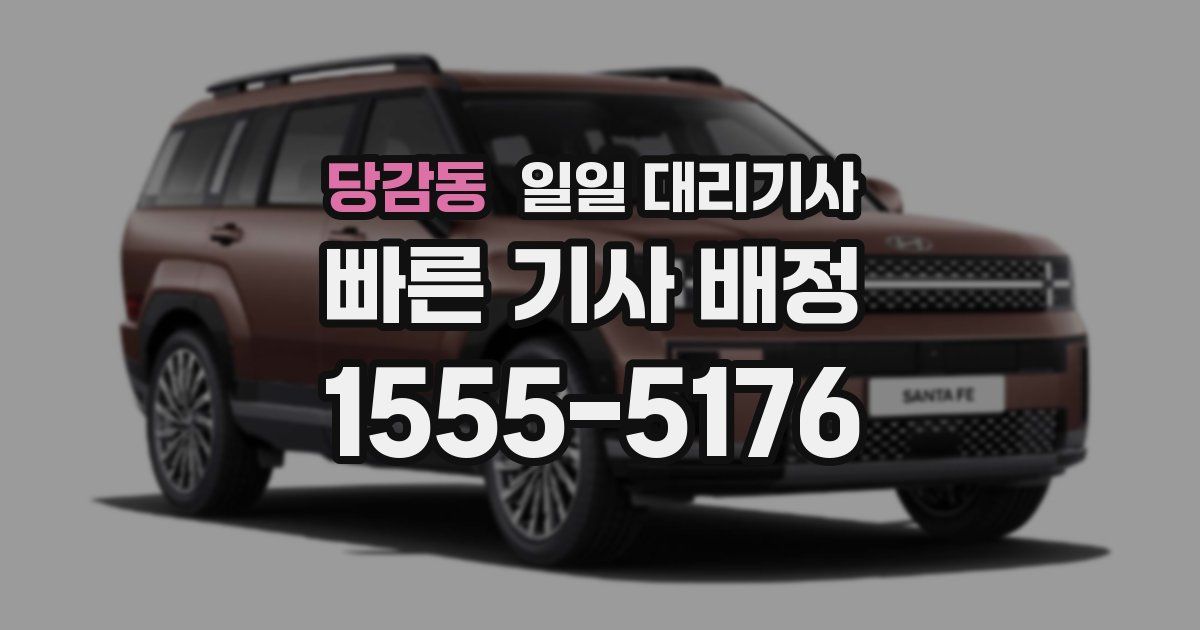 당감동 일일 대리기사