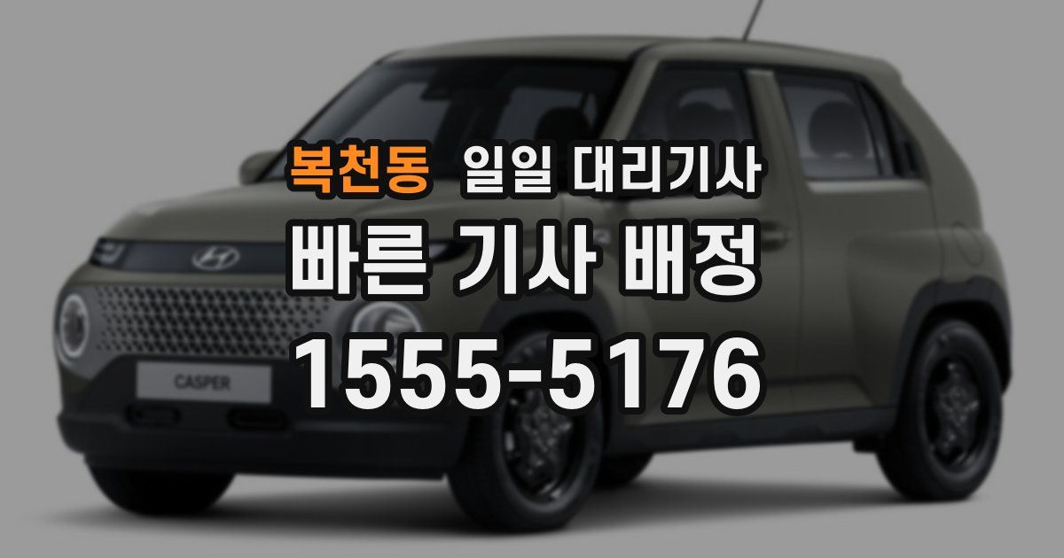 복천동 일일 대리기사