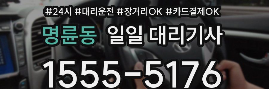명륜동 일일 대리기사