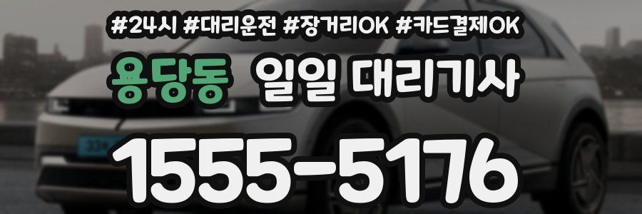 용당동 일일 대리기사