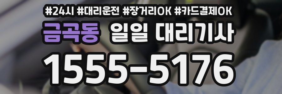 금곡동 일일 대리기사