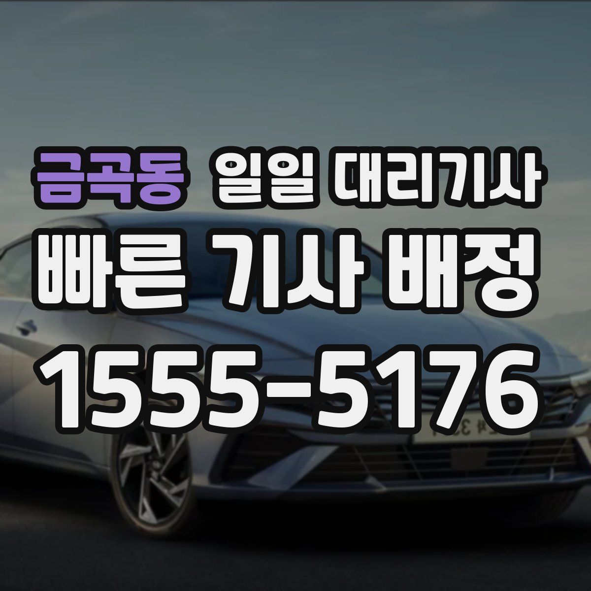 금곡동 일일 대리기사