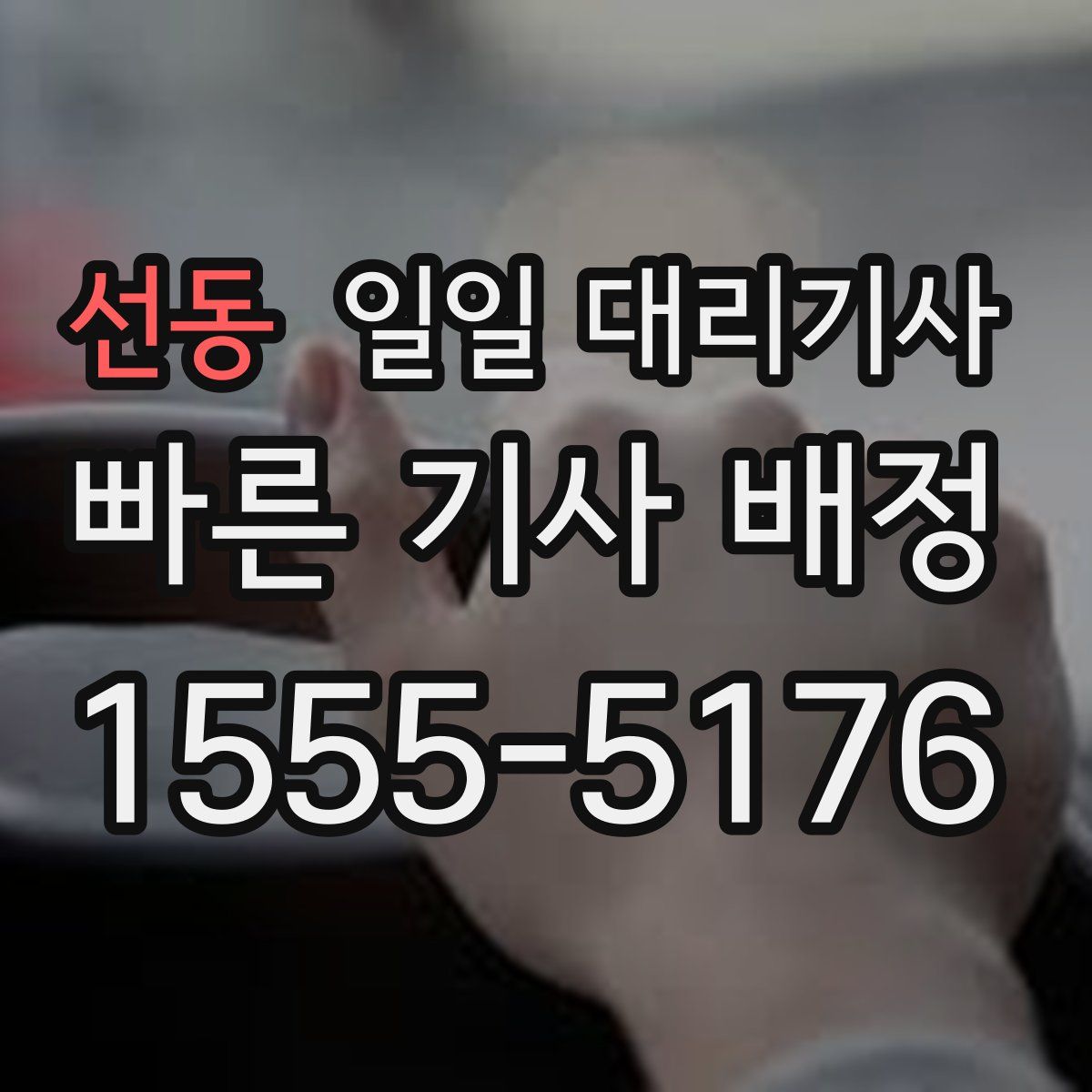 선동 일일 대리기사