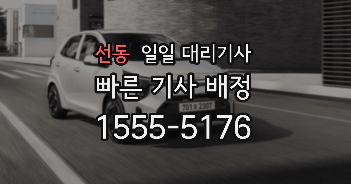 선동 일일 대리기사