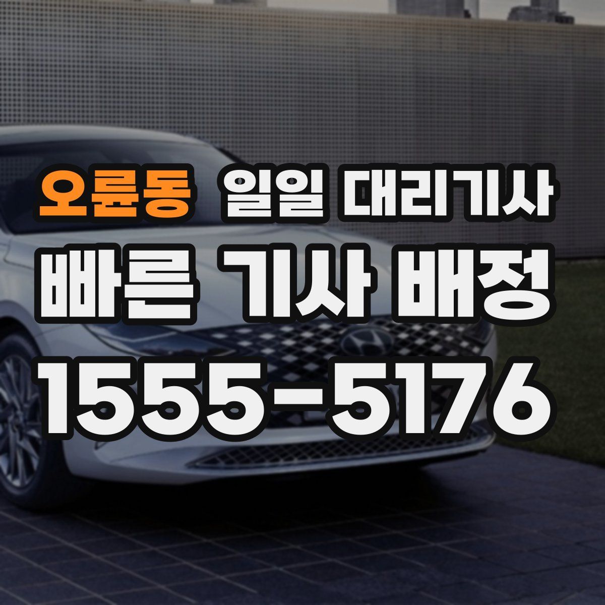 오륜동 일일 대리기사