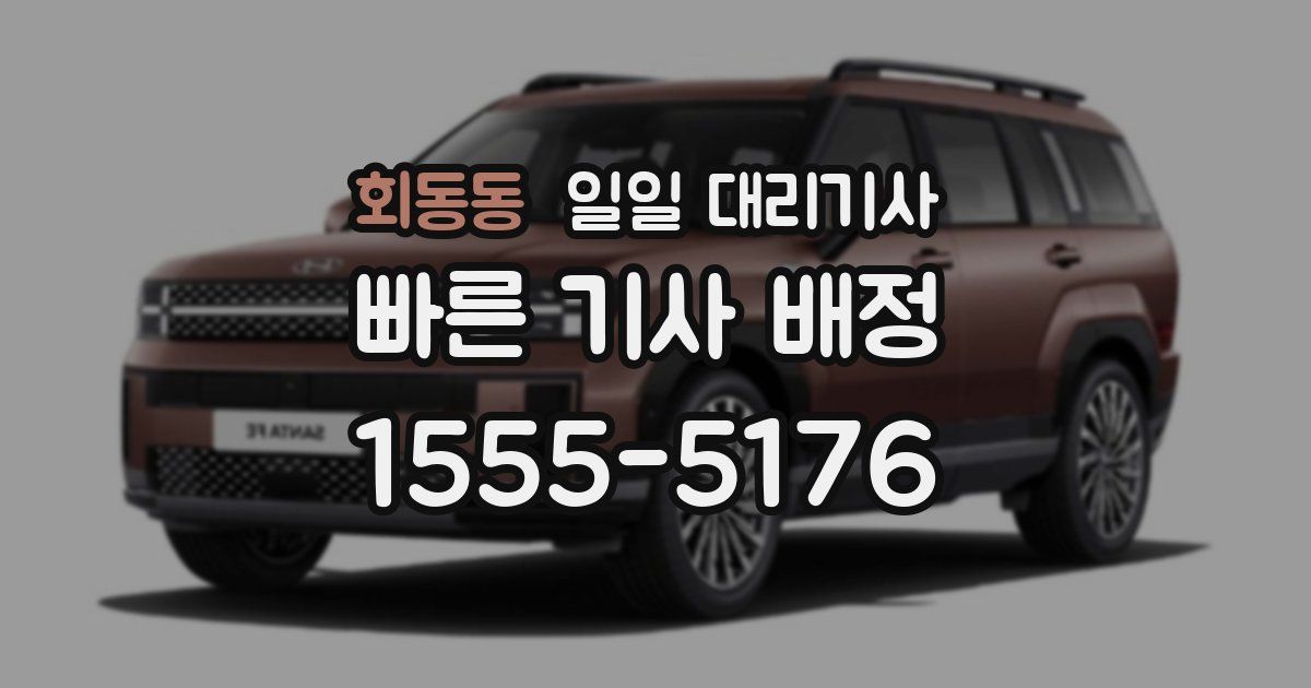 회동동 일일 대리기사