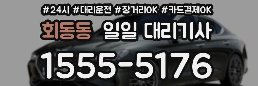 회동동 일일 대리기사