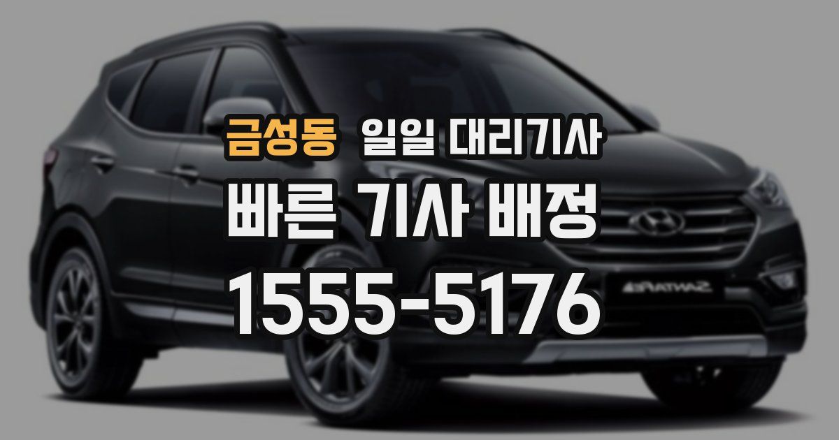 금성동 일일 대리기사
