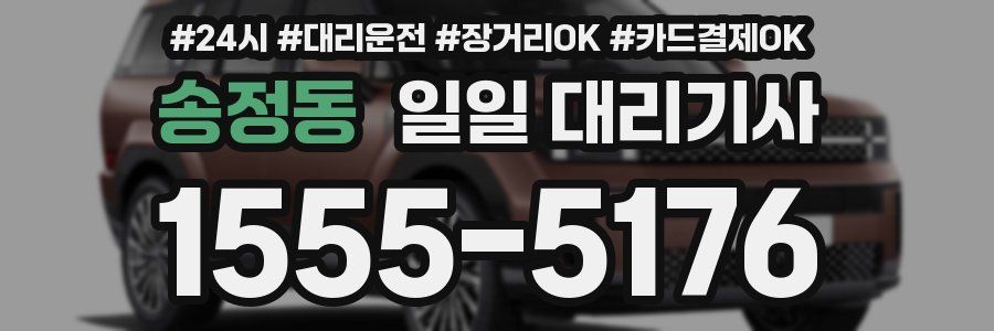 송정동 일일 대리기사