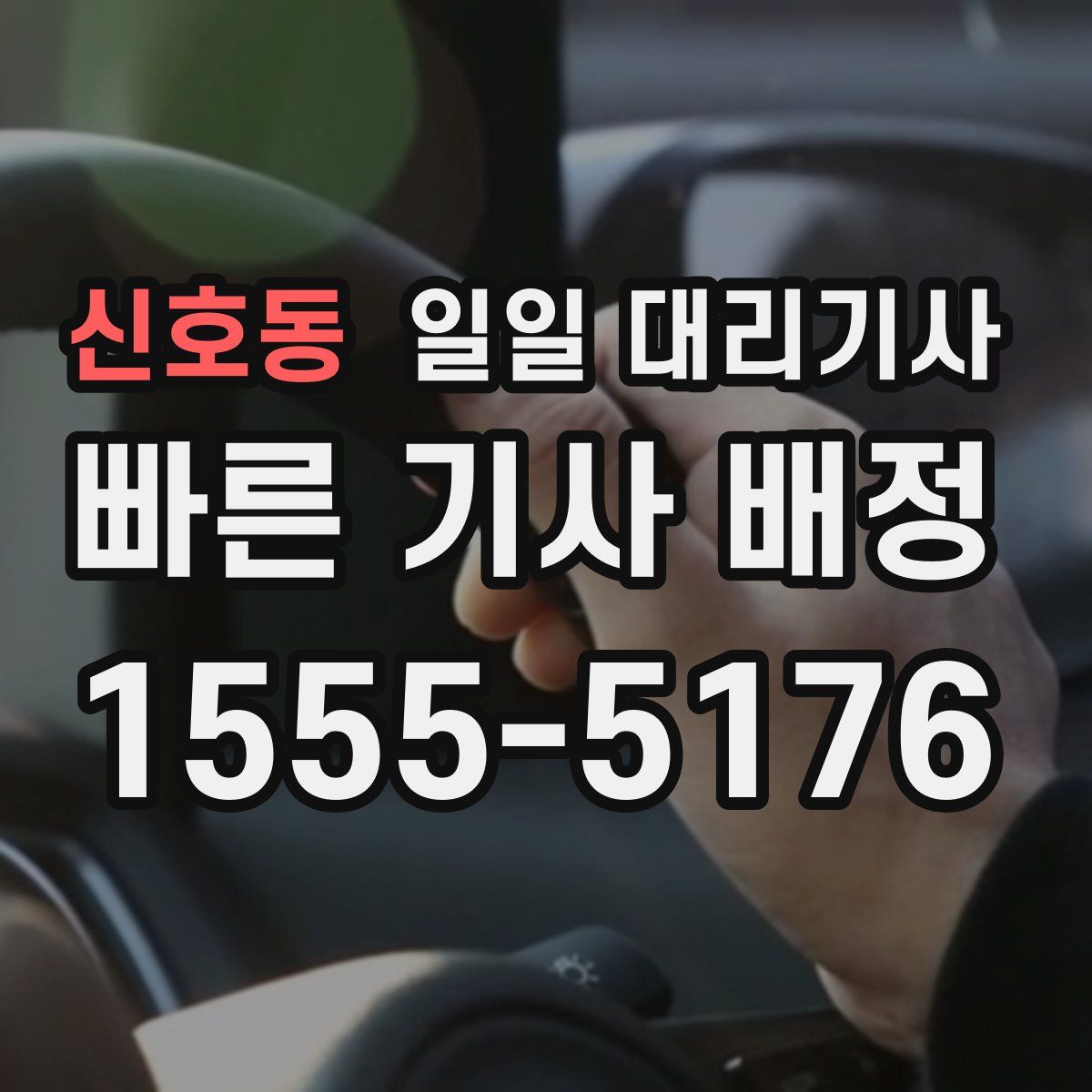 신호동 일일 대리기사