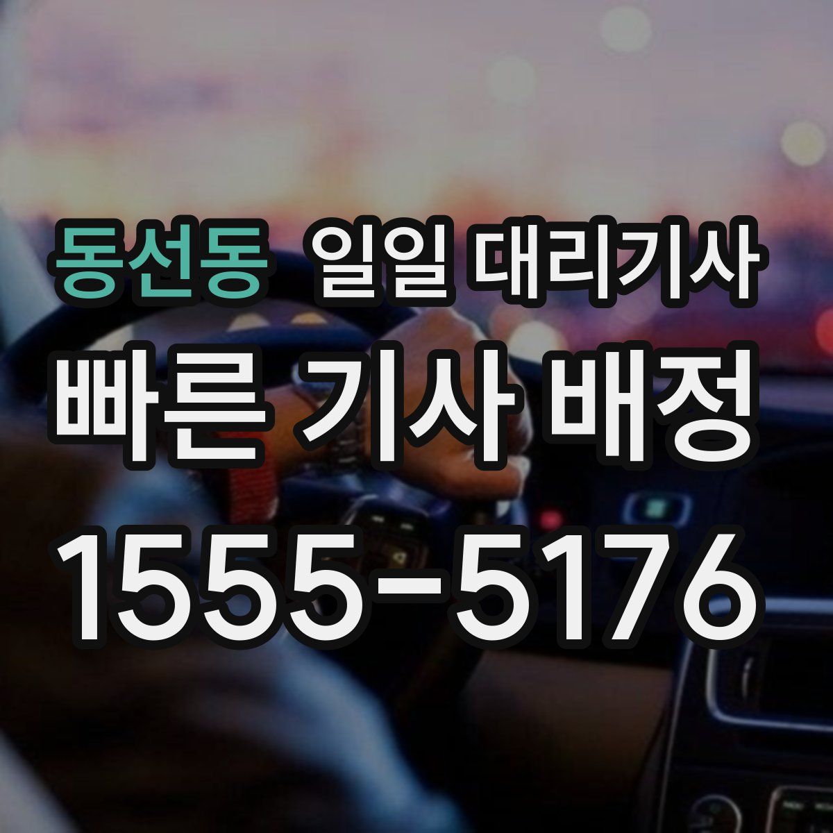동선동 일일 대리기사