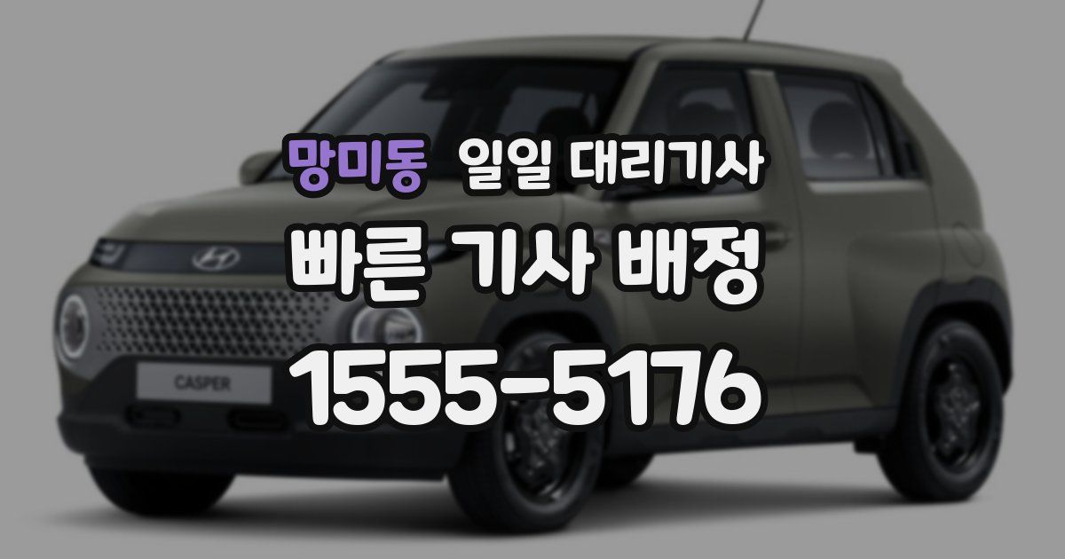 망미동 일일 대리기사
