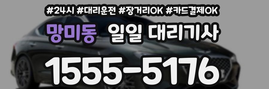 망미동 일일 대리기사