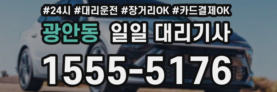 광안동 일일 대리기사