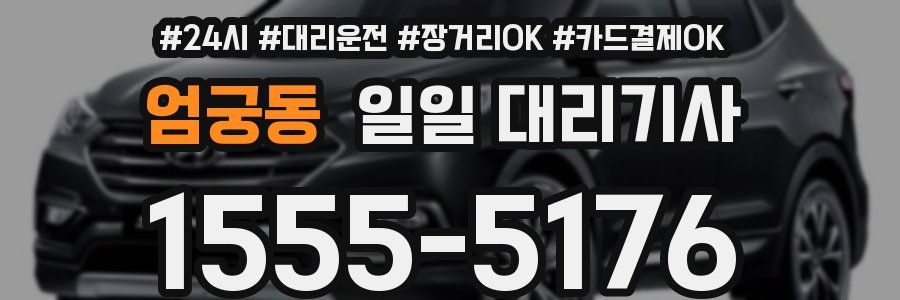 엄궁동 일일 대리기사