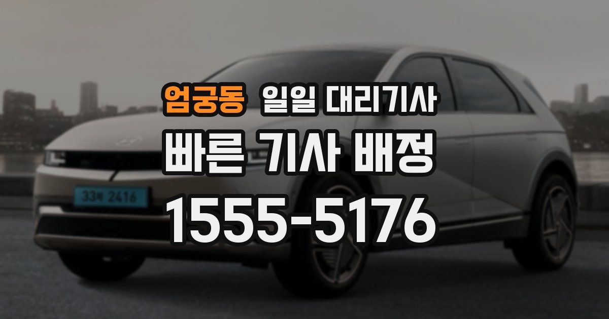 엄궁동 일일 대리기사