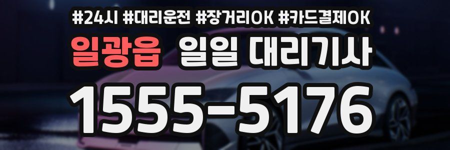 일광읍 일일 대리기사