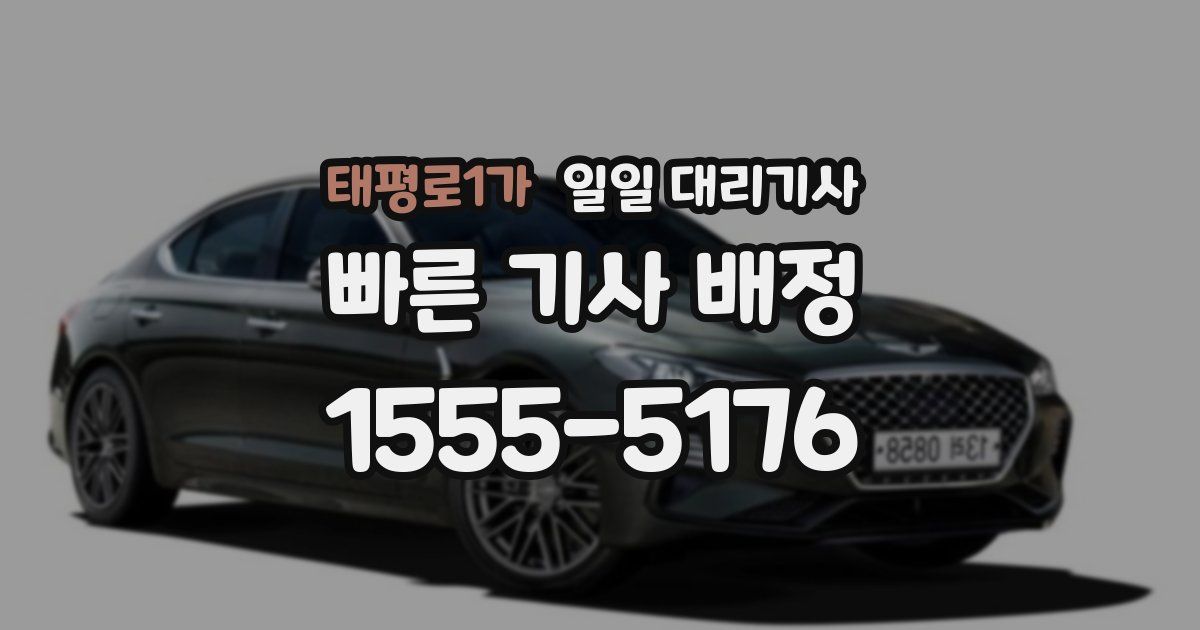 태평로1가 일일 대리기사
