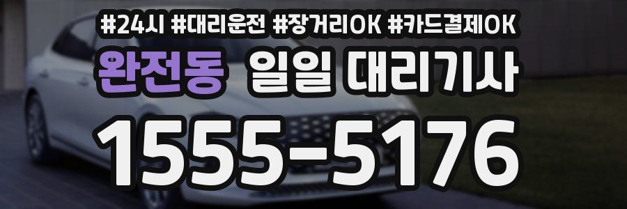 완전동 일일 대리기사