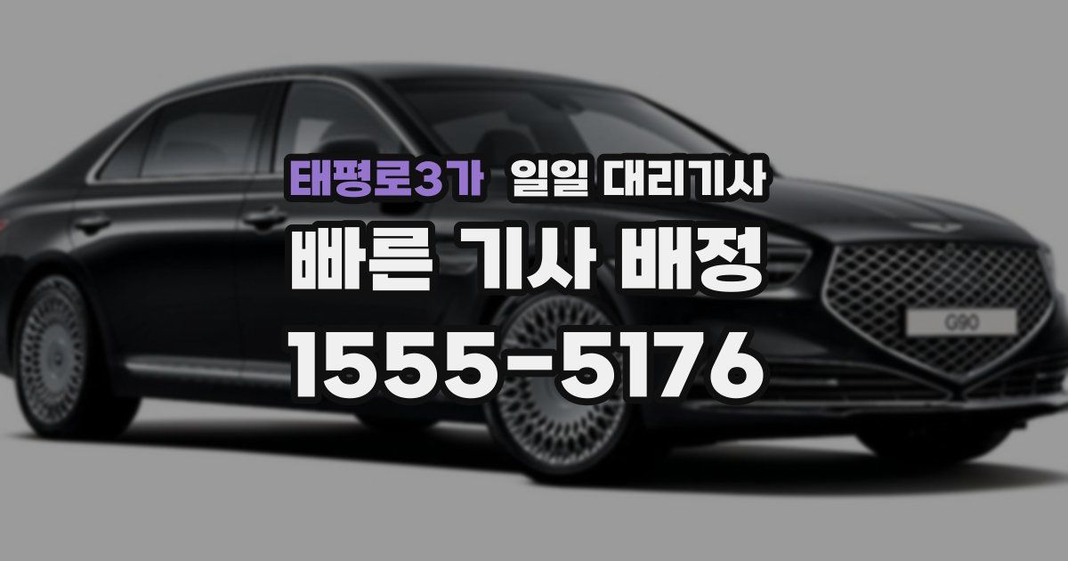 태평로3가 일일 대리기사