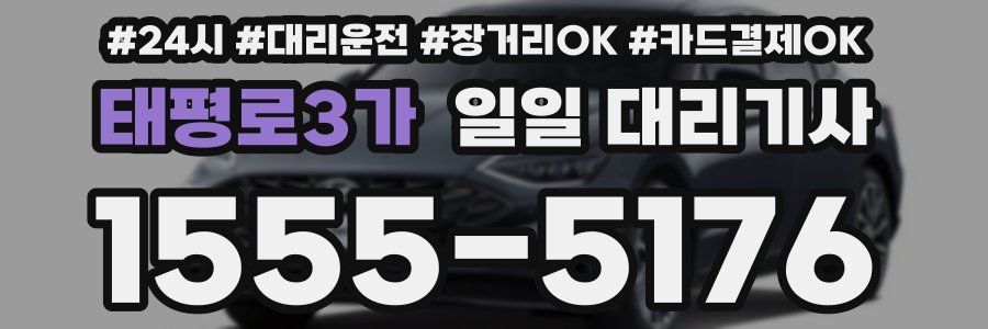 태평로3가 일일 대리기사