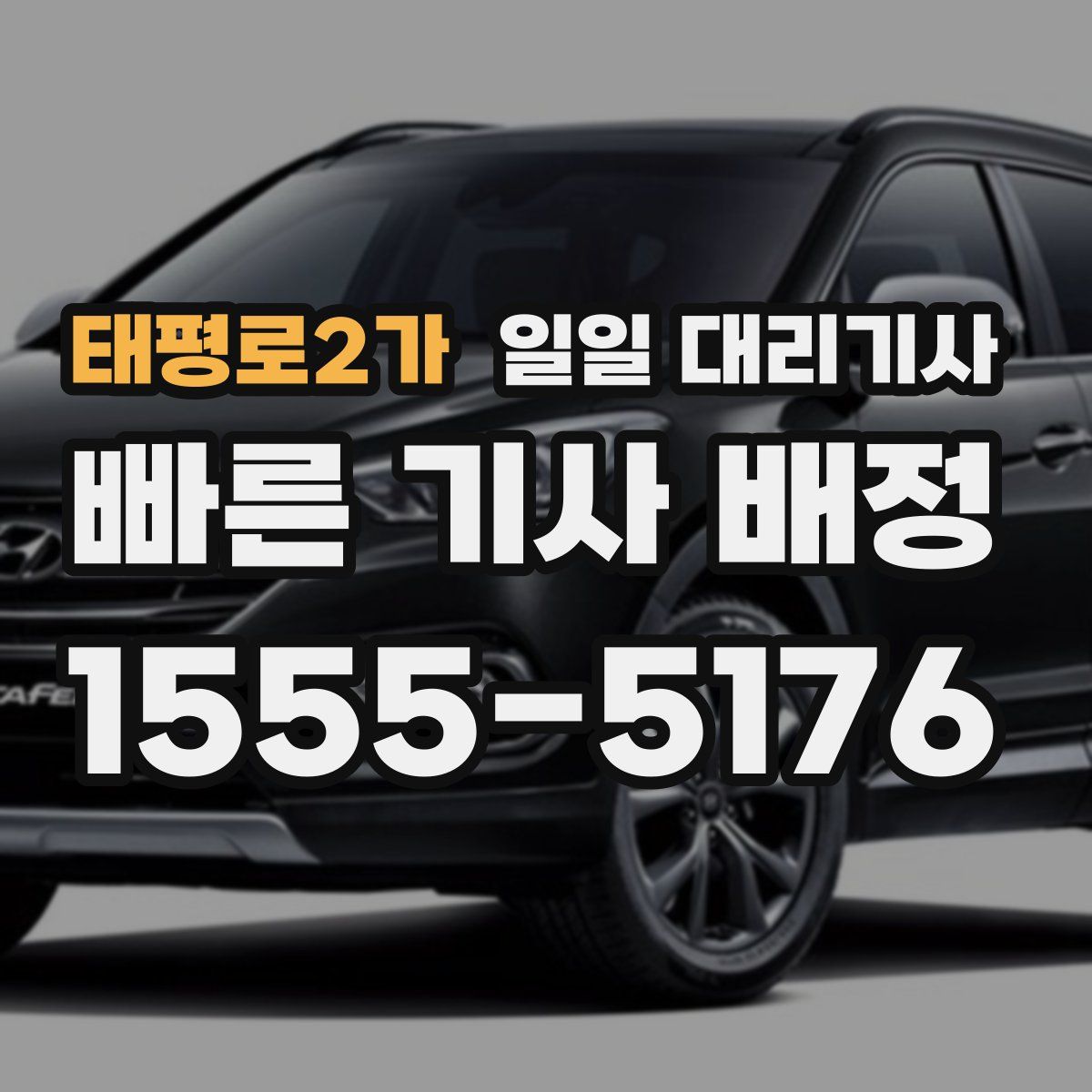 태평로2가 일일 대리기사