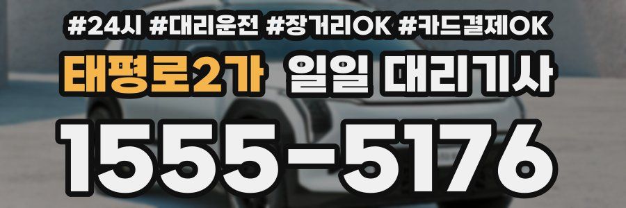 태평로2가 일일 대리기사