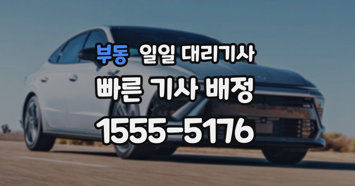 부동 일일 대리기사