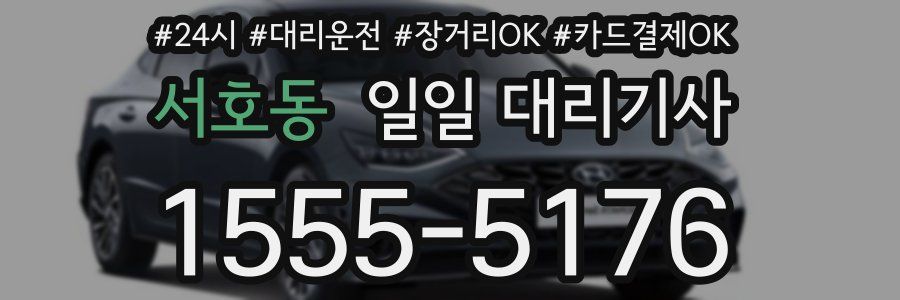 서호동 일일 대리기사