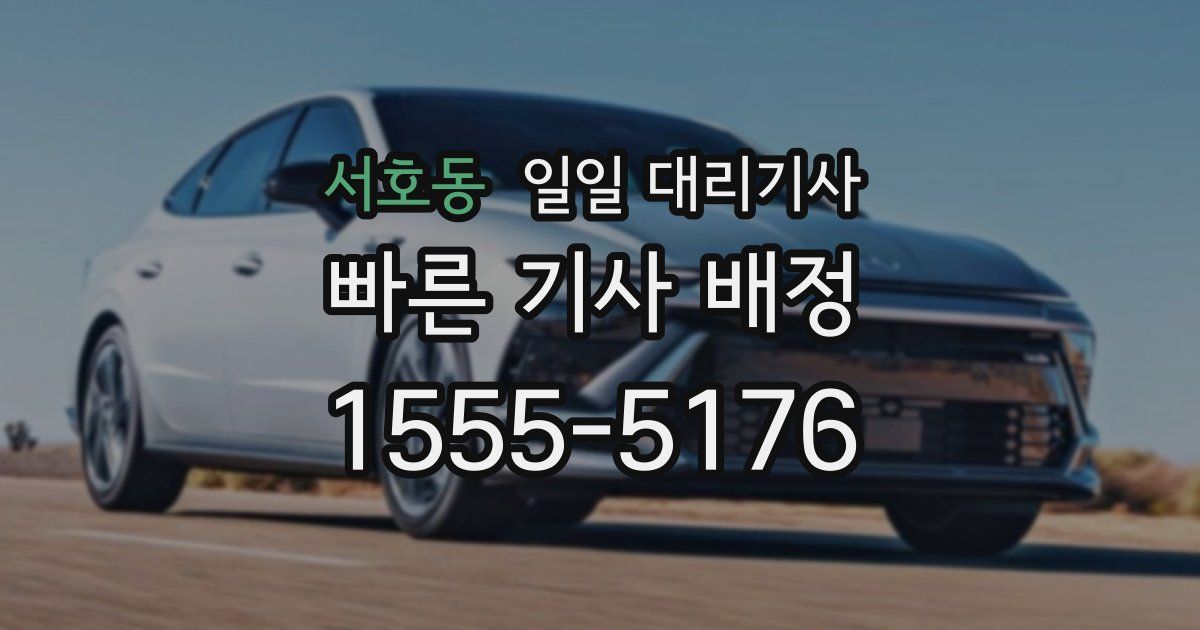서호동 일일 대리기사