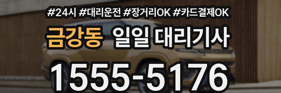 금강동 일일 대리기사