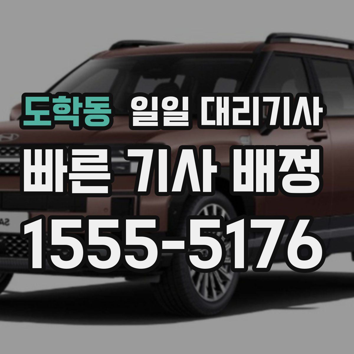 도학동 일일 대리기사