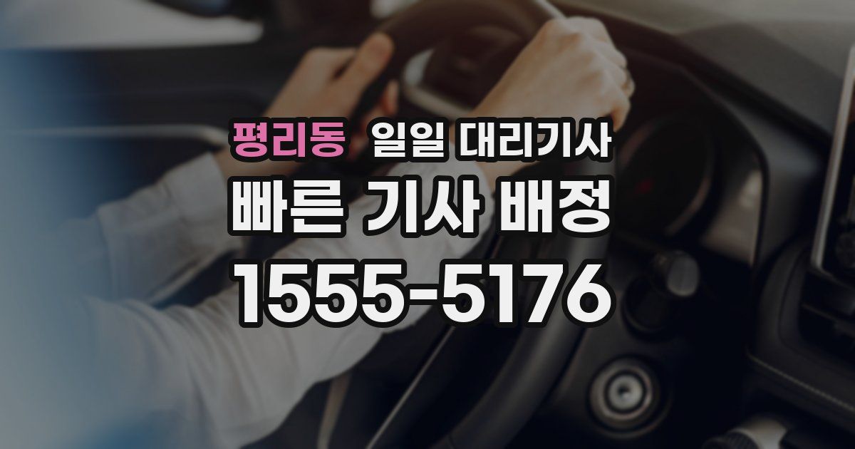 평리동 일일 대리기사