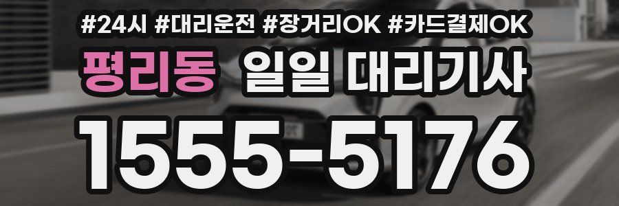 평리동 일일 대리기사