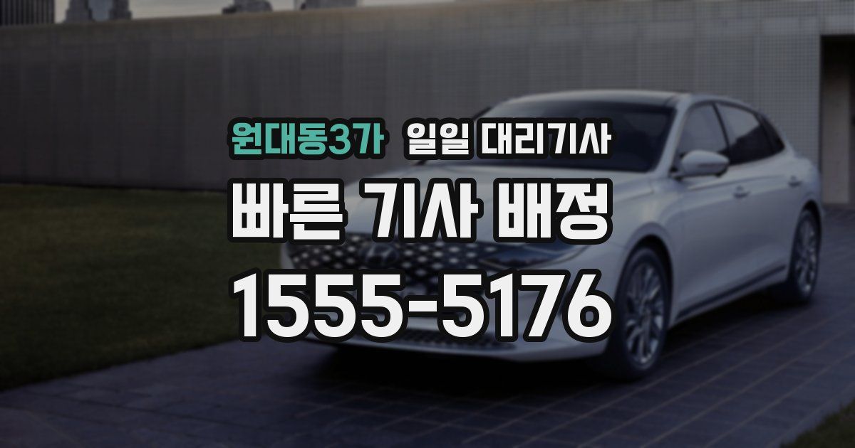 원대동3가 일일 대리기사