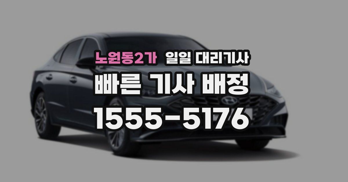 노원동2가 일일 대리기사
