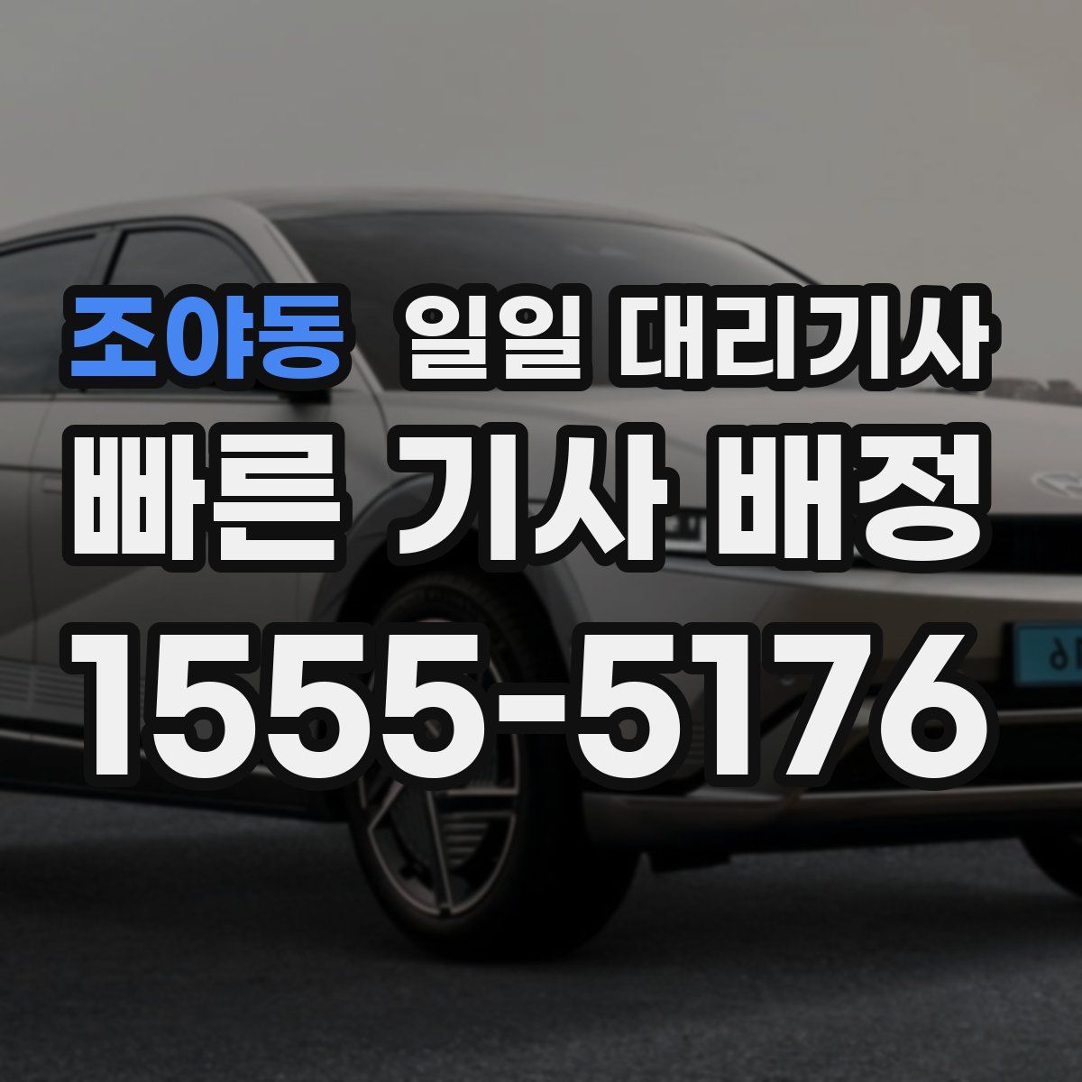 조야동 일일 대리기사