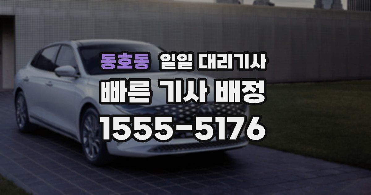 동호동 일일 대리기사