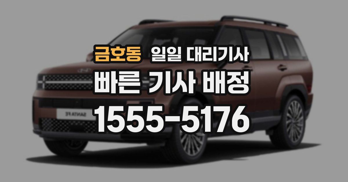 금호동 일일 대리기사