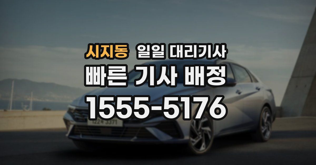 시지동 일일 대리기사