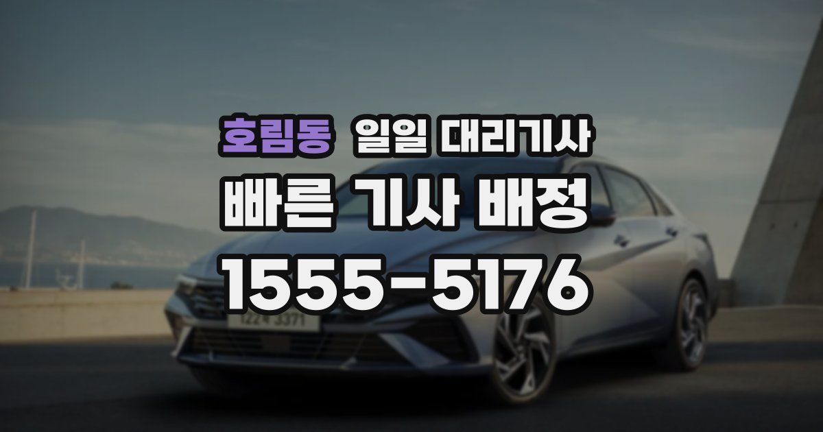 호림동 일일 대리기사