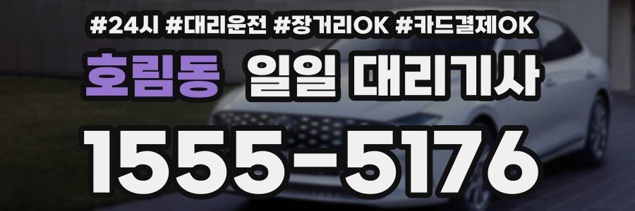 호림동 일일 대리기사