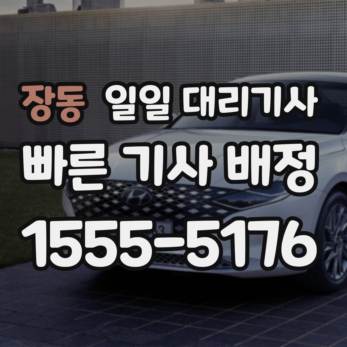 장동 일일 대리기사