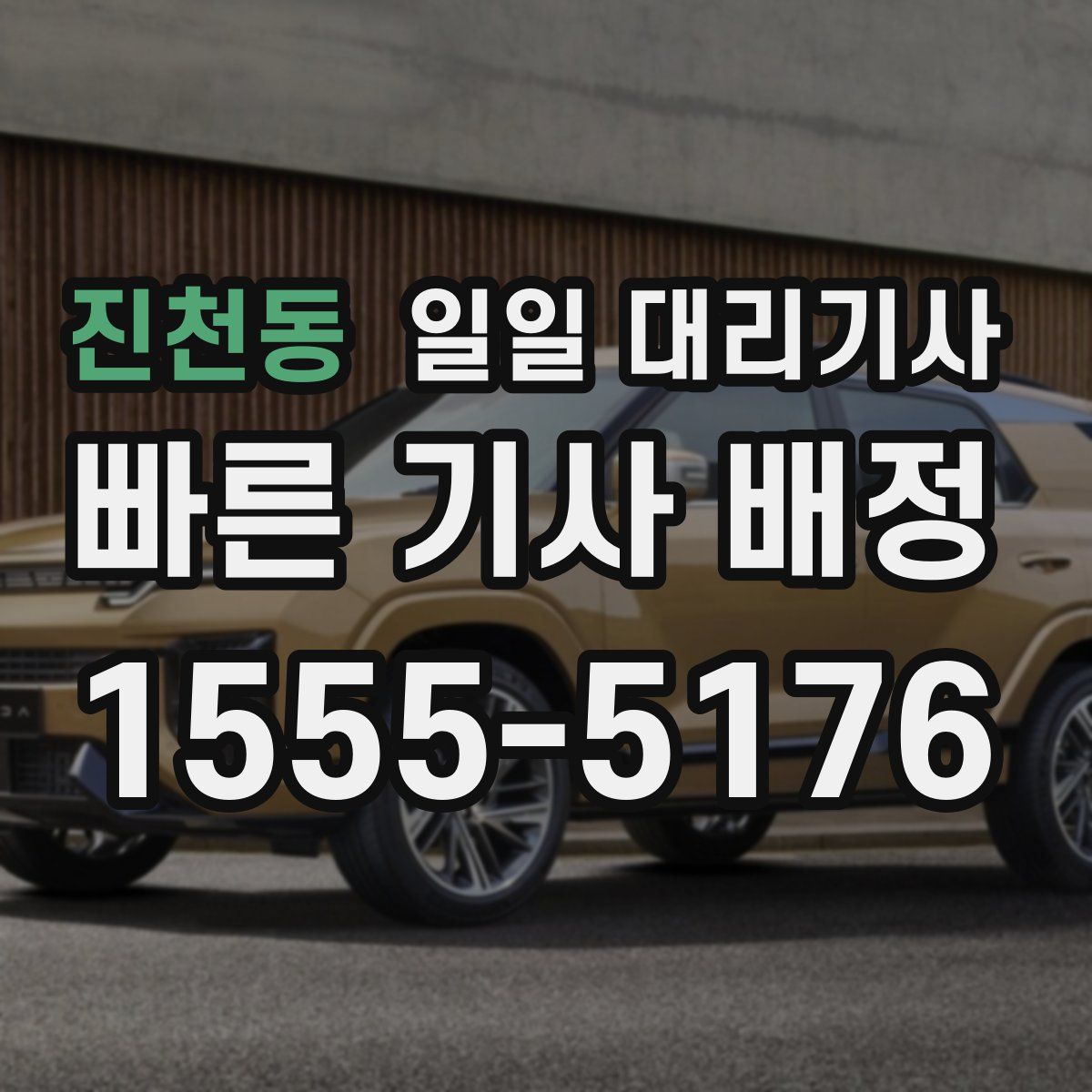 진천동 일일 대리기사