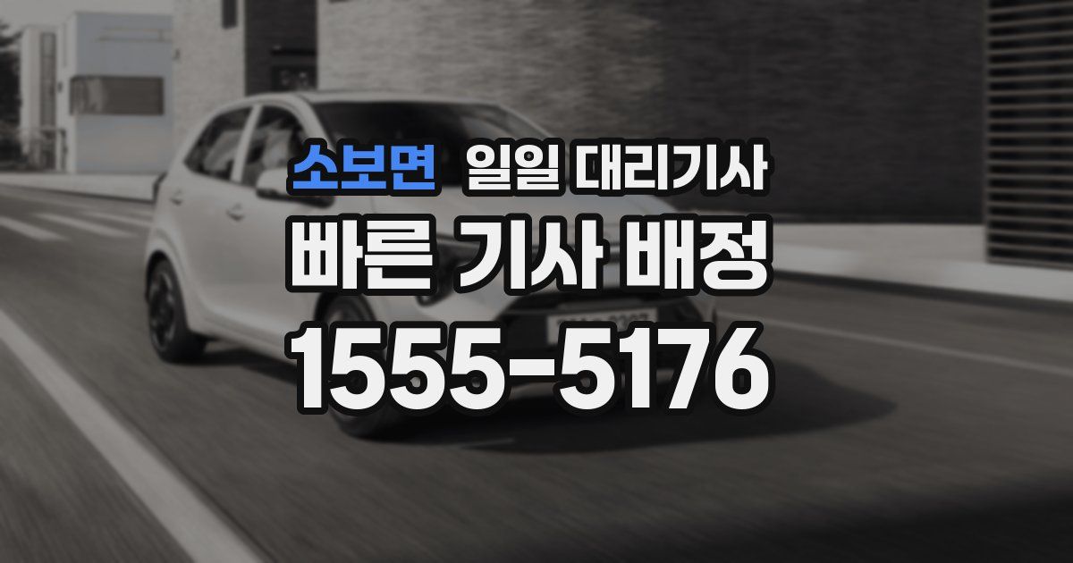소보면 일일 대리기사