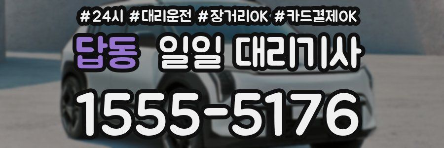 답동 일일 대리기사