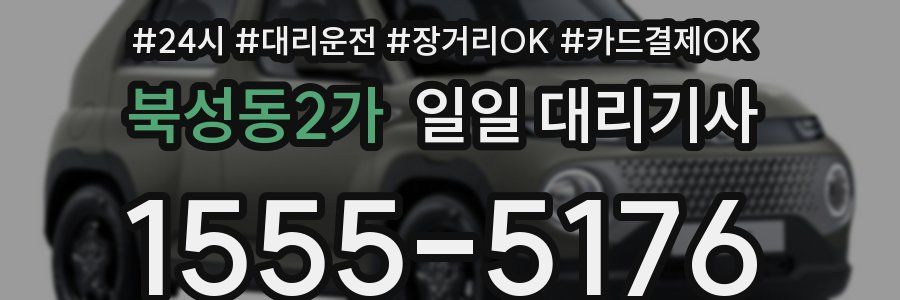 북성동2가 일일 대리기사