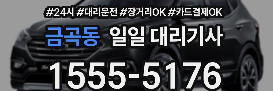 금곡동 일일 대리기사