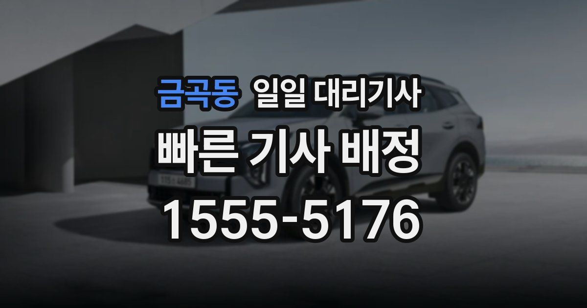 금곡동 일일 대리기사